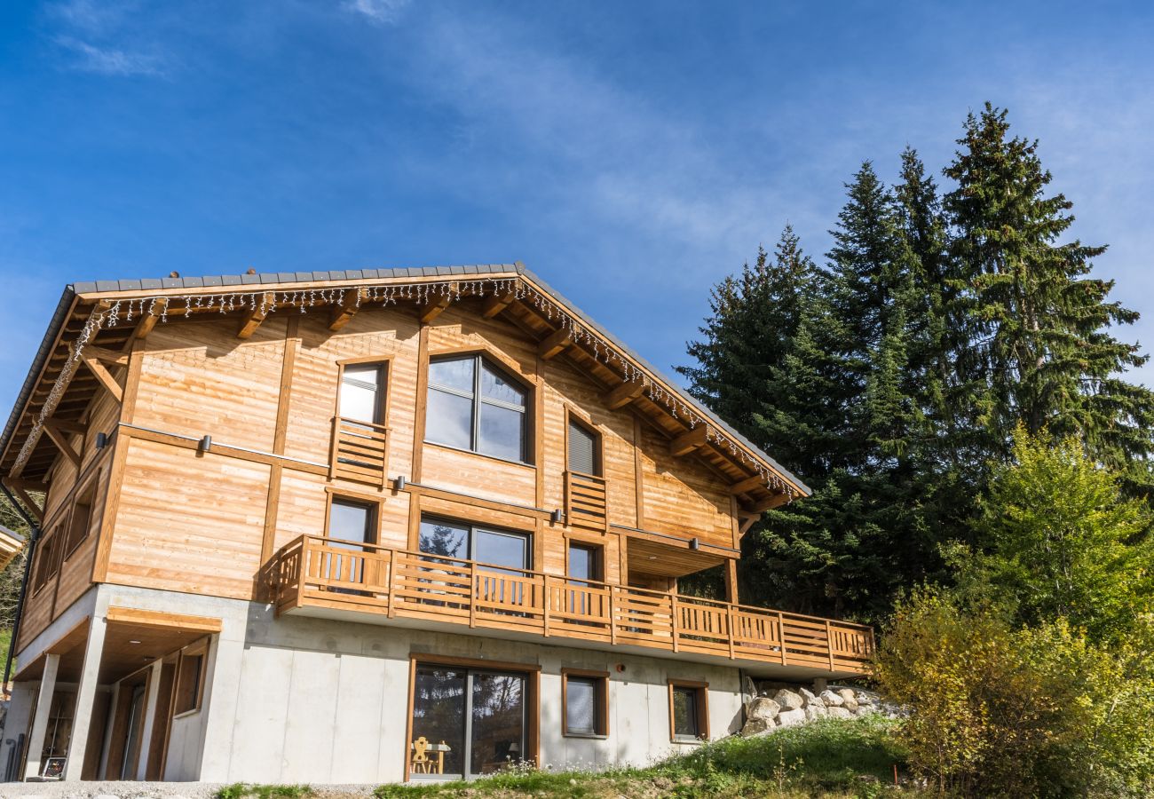 Chalet in Saint-Jean-de-Sixt - Tribu du Danay